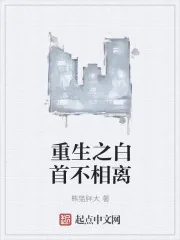 《重生之白首不相离》小说封面