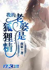 《我的老婆是狐狸精》小说封面