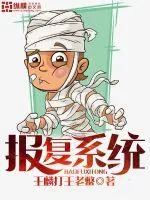 《报复系统》小说封面