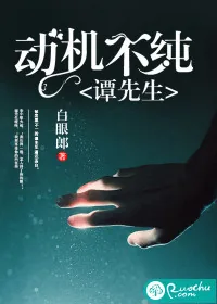 《谭先生，动机不纯》小说封面