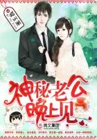 《神秘老公，晚上见！》小说封面