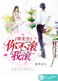 《傅先生，你不滚我滚》小说封面