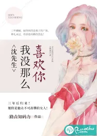 《沈先生，我没那么喜欢你》小说封面