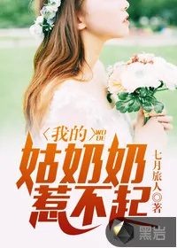 《我的姑奶奶惹不起》小说封面