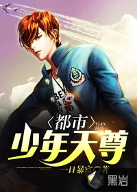 《都市少年天尊》小说封面