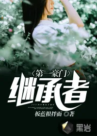 《第一豪门继承者》小说封面