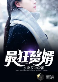 《最狂赘婿》小说封面
