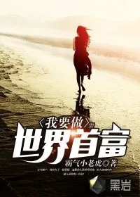 《我要做世界首富》小说封面