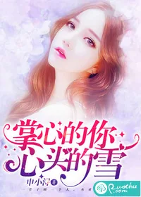 《掌心的你，心头的雪》小说封面