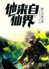 《他来自仙界》小说封面
