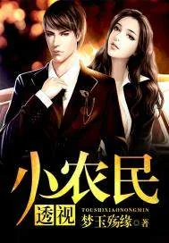 《透视小农民》小说封面