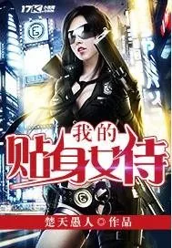 《我的贴身女侍》小说封面