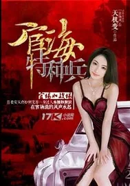 《宦海特种兵》小说封面