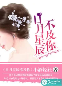 《日月星辰不及你》小说封面