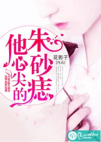 《他心尖的朱砂痣》小说封面