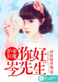 《护妻狂魔:你好,岑先生!》小说封面