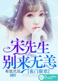 《名门新欢：宋先生别来无恙》小说封面