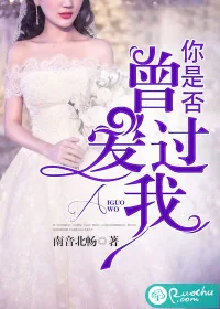 《你是否曾爱过我》小说封面