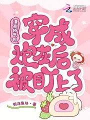 《漂亮娇气包穿成炮灰后被盯上了》小说封面