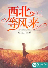 《西北等风来》小说封面