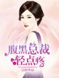 《腹黑总裁轻点疼》小说封面