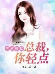《贪欢成瘾：总裁，你轻点》小说封面