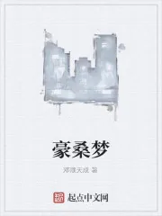 《豪桑梦》小说封面