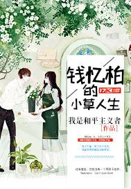 《钱忆柏的小草人生》小说封面