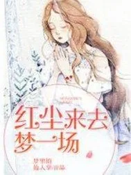 《红尘来去梦一场》小说封面