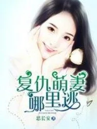 《复仇萌妻哪里逃》小说封面