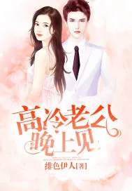 《高冷老公晚上见》小说封面