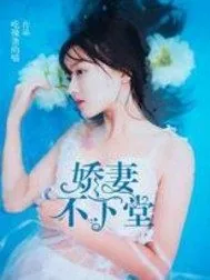 《娇妻不下堂》小说封面