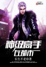 《神级高手在都市》小说封面