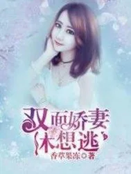 《双面娇妻休想逃》小说封面