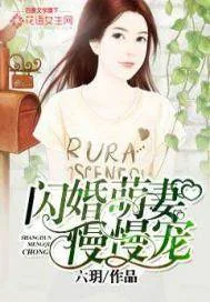 《闪婚萌妻慢慢宠》小说封面