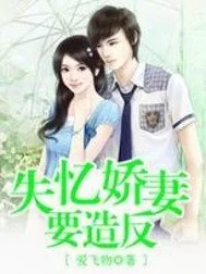 《失忆娇妻要造反》小说封面