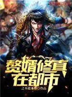 《赘婿修真在都市》小说封面