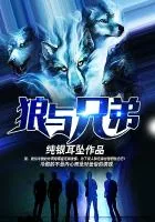 《狼与兄弟》小说封面