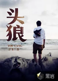 《头狼》小说封面