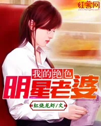 《我的绝色明星老婆》小说封面