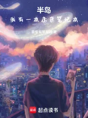 《半岛：我有一本未来笔记本》小说封面