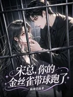《宋总，你的金丝雀带球跑了》小说封面