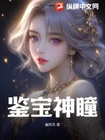 《鉴宝神瞳》小说封面