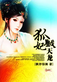 《狐妃戏天龙》小说封面