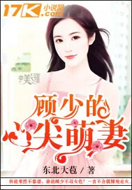 《顾少的心尖萌妻》小说封面