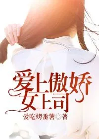 《爱上傲娇女上司》小说封面
