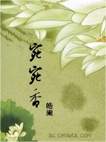 《宛宛香》小说封面