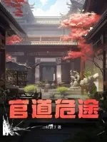 《官道危途》小说封面