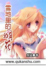 《雪地里的烟花》小说封面