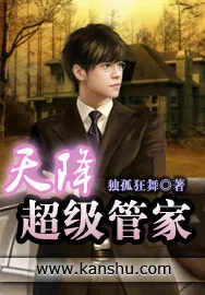《天降超级管家》小说封面